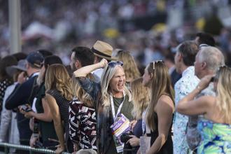 Fans react to Blue Prize winning the Breeders' Cup Distaff